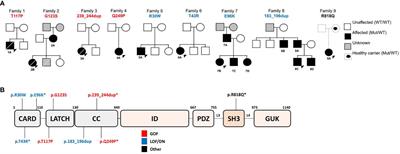 Expanding spectrum, intrafamilial diversity, and therapeutic challenges from 15 patients with heterozygous CARD11-associated diseases: A single center experience